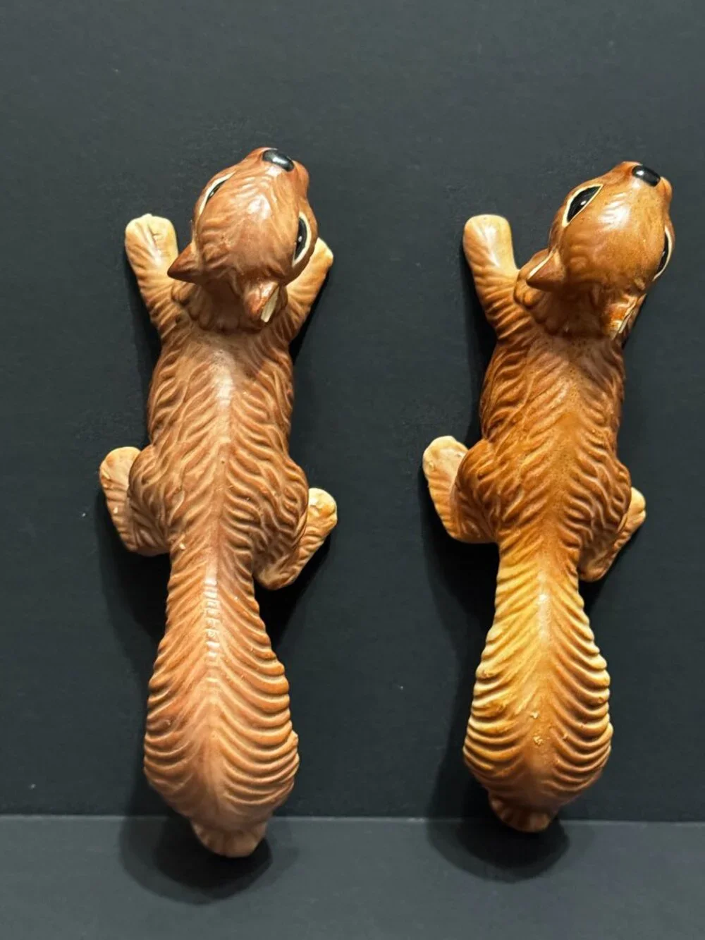 N/A norcrest squirrel